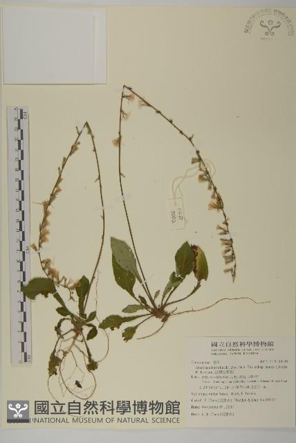 臺灣鬼督郵藏品圖，第1張