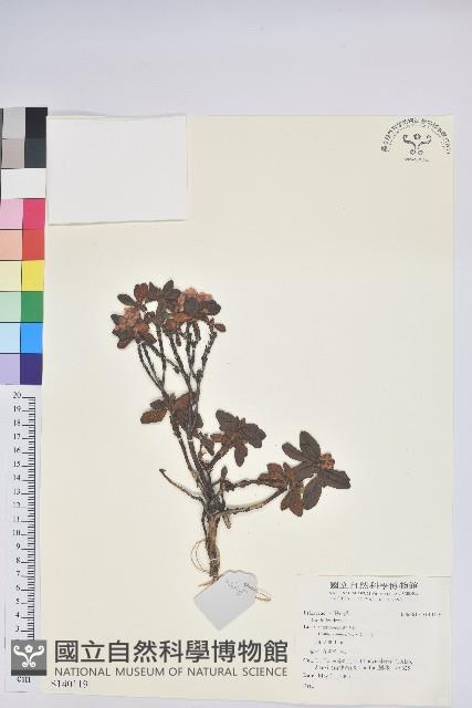 登錄號:S140119藏品圖，第1張