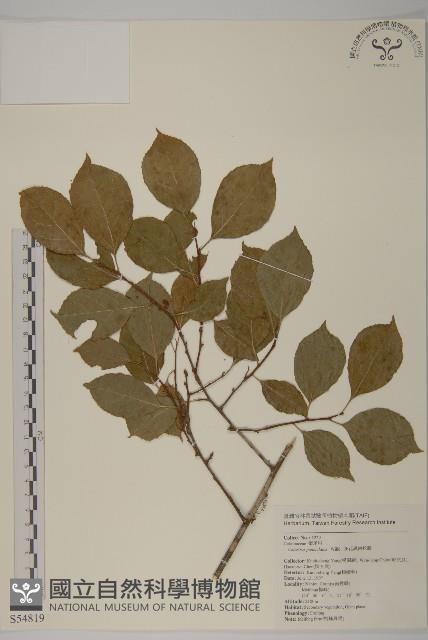 Accession Number:S054819 Collection Image, Figure 1, Total 2 Figures