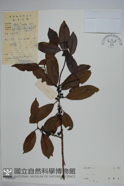 登錄號:S040519藏品圖，第1張