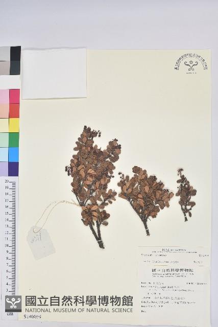 登錄號:S140059藏品圖，第1張