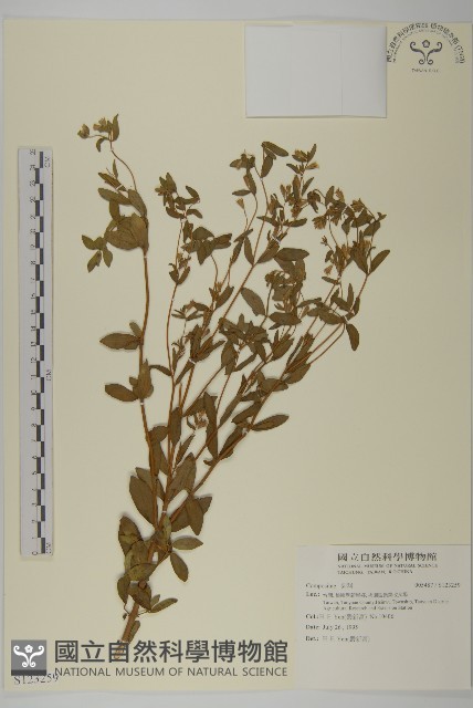 登錄號:S123259藏品圖，第1張