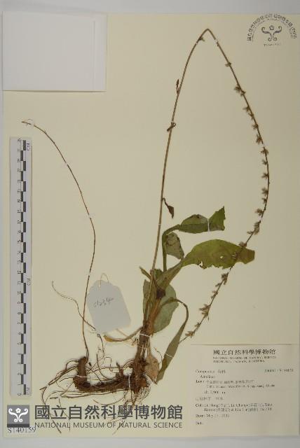 登錄號:S140159藏品圖，第1張