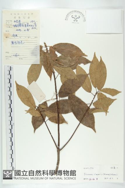 猴歡喜藏品圖，第1張