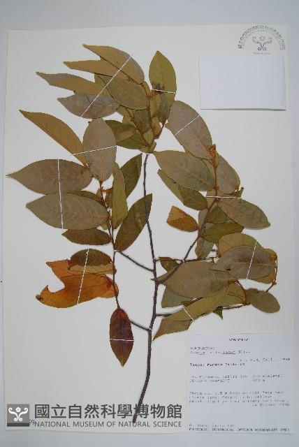 登錄號:S096359藏品圖，第1張