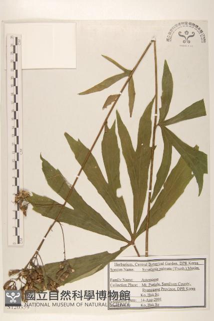 登錄號:S120359藏品圖，第1張