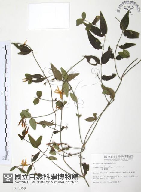 山素英藏品圖，第1張