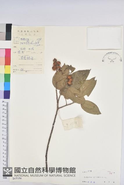 登錄號:S045359藏品圖，第1張