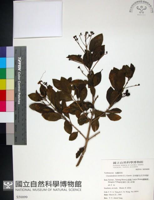 苦林盤藏品圖，第1張