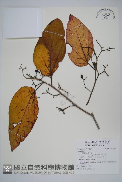 登錄號:S122299藏品圖，第1張