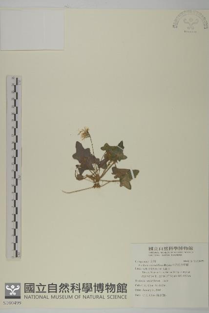 中原氏鬼督郵藏品圖，第1張