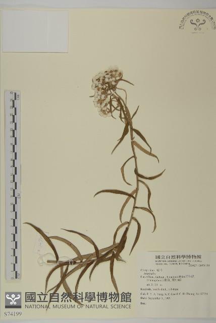 登錄號:S074199藏品圖，第1張