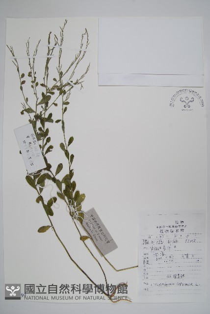 登錄號:S047899藏品圖，第1張