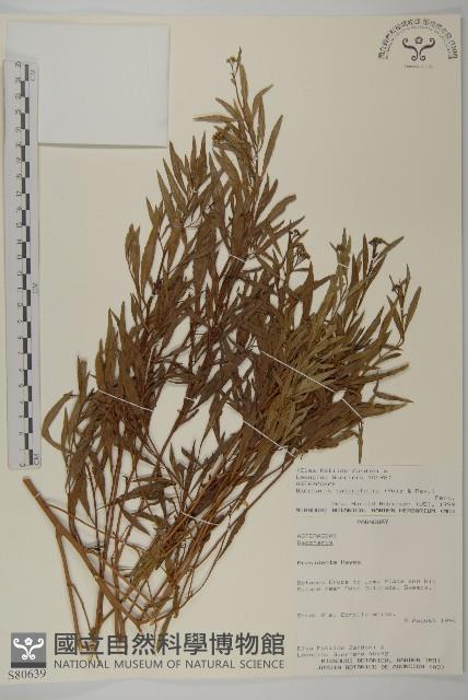 登錄號:S080639藏品圖，第1張