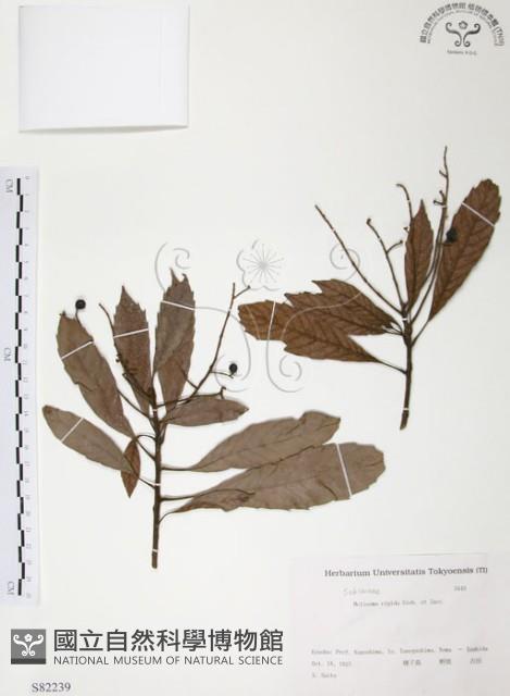 筆羅子藏品圖，第1張