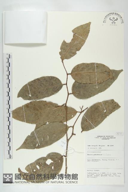 登錄號:S055239藏品圖，第1張