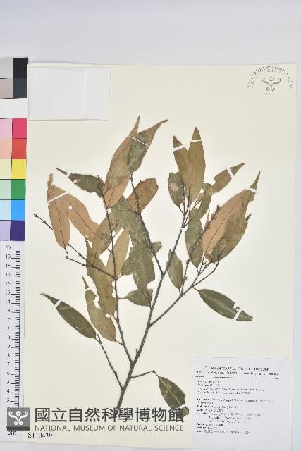 白校欑藏品圖，第1張