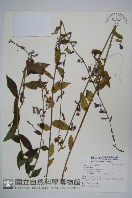 登錄號:S121439藏品圖，第1張