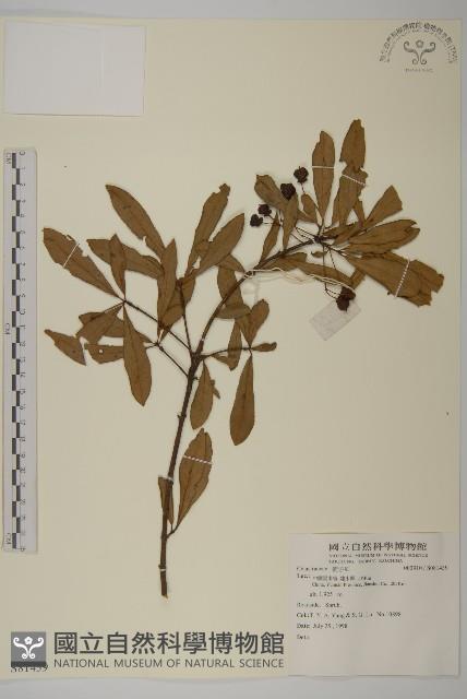 登錄號:S081439藏品圖，第1張