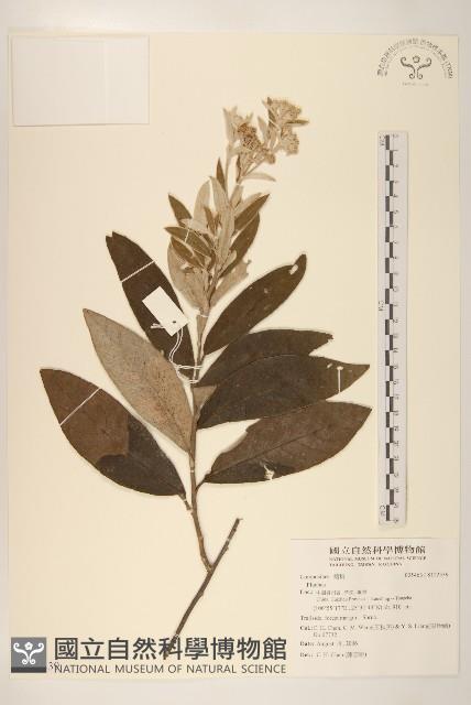 登錄號:S122339藏品圖，第1張