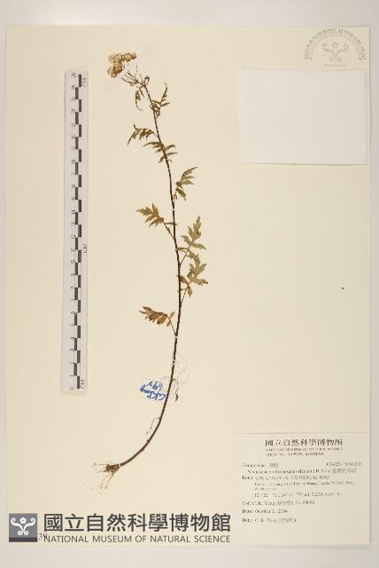 臺灣劉寄奴藏品圖，第1張