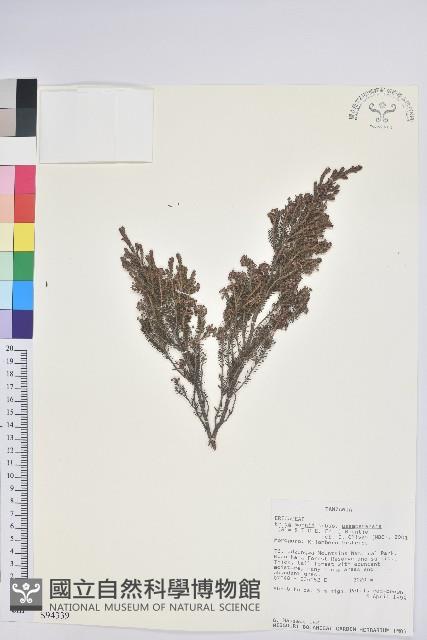 登錄號:S094339藏品圖，第1張