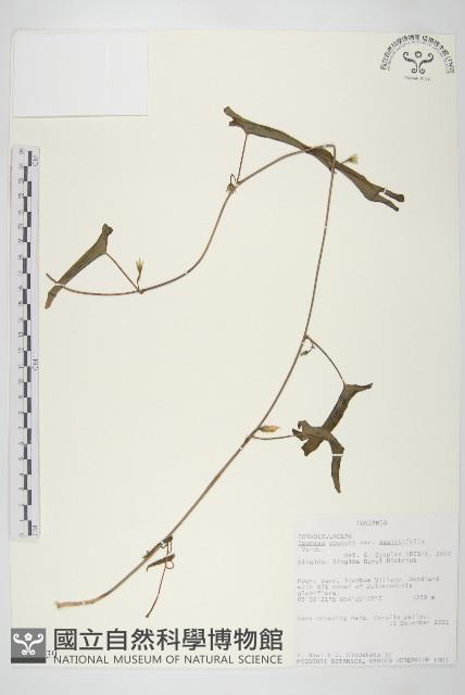 登錄號:S093839藏品圖，第1張