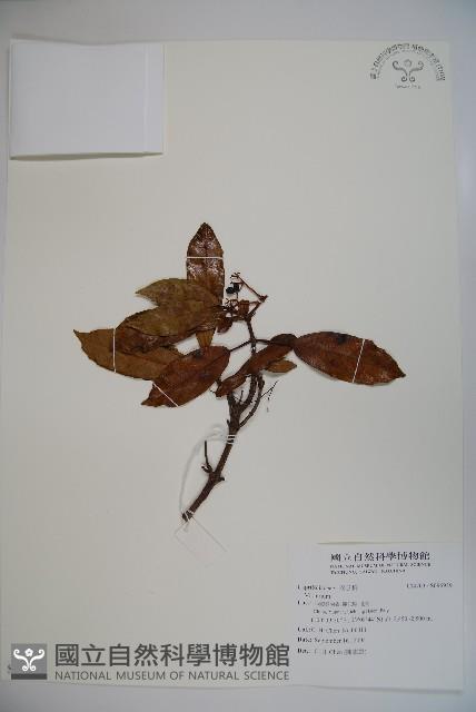 登錄號:S096939藏品圖，第1張