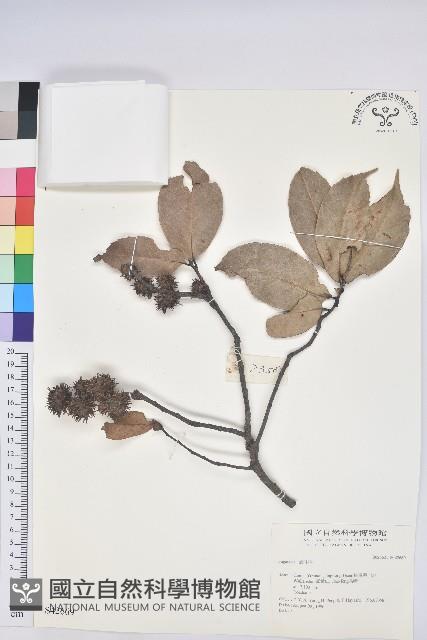 登錄號:S042669藏品圖，第1張