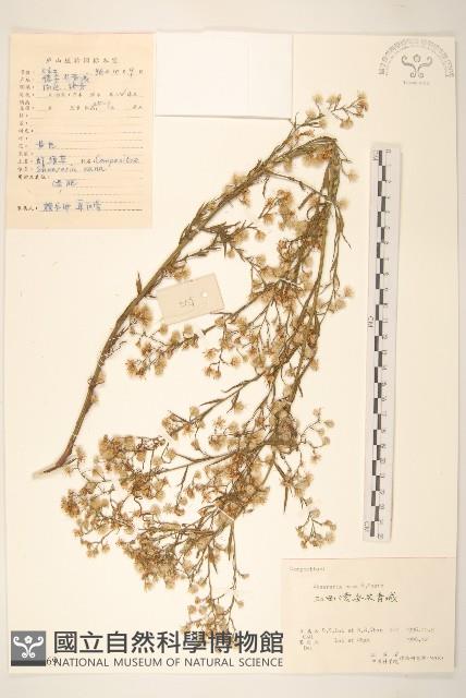 登錄號:S060669藏品圖，第1張