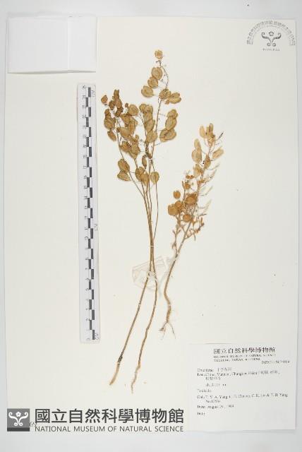 登錄號:S074069藏品圖，第1張