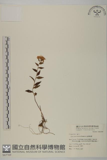 臺灣馬蘭藏品圖，第1張