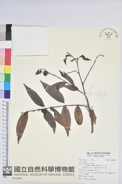 登錄號:S122269藏品圖，第1張