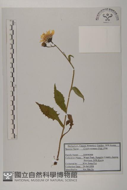 登錄號:S120269藏品圖，第1張