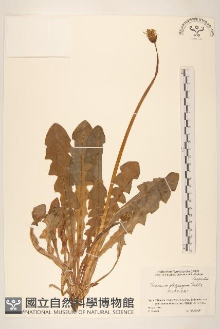 登錄號:S051269藏品圖，第1張