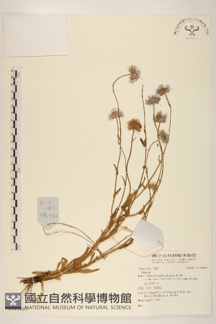 登錄號:S140469藏品圖，第1張