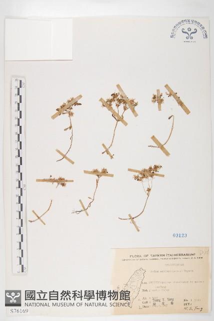 Accession Number:S076169 Collection Image, Figure 1, Total 2 Figures