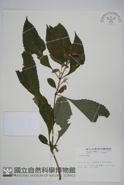 登錄號:S014169藏品圖，第1張