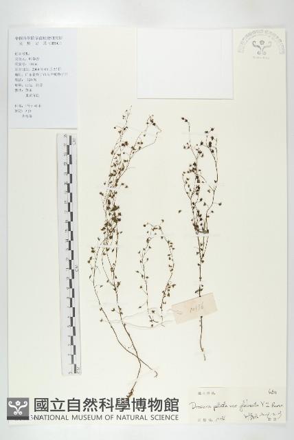 登錄號:S102369藏品圖，第1張