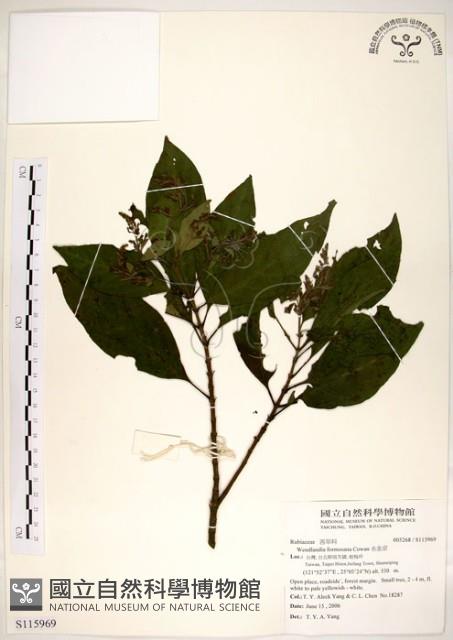 水金京藏品圖，第1張