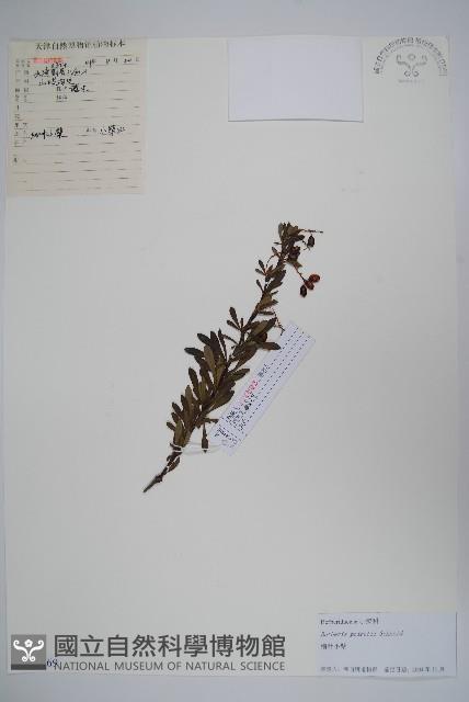 登錄號:S104969藏品圖，第1張