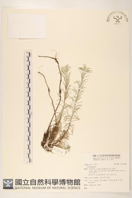 登錄號:S123569藏品圖，第1張