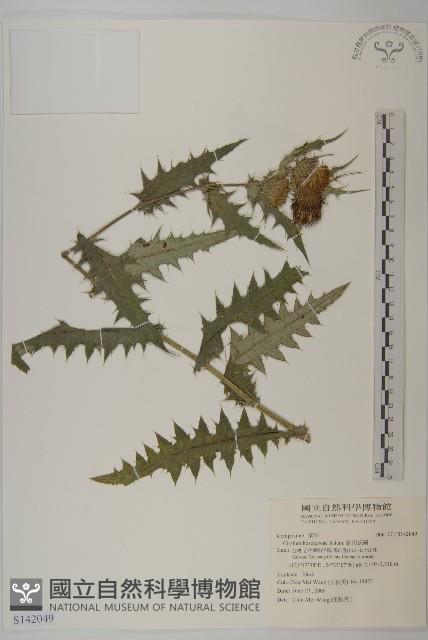 細川氏薊藏品圖，第1張