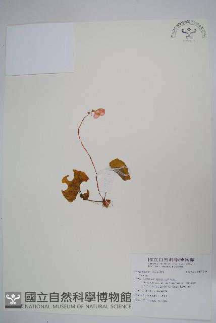 Accession Number:S097049 Collection Image, Figure 1, Total 2 Figures