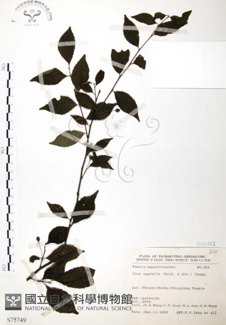 燈稱花、烏雞骨藏品圖，第1張