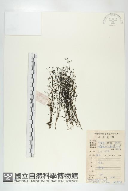 登錄號:S084749藏品圖，第1張