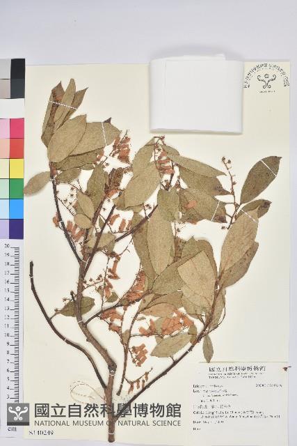 登錄號:S140249藏品圖，第1張