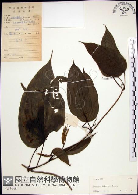 百部藏品圖，第1張