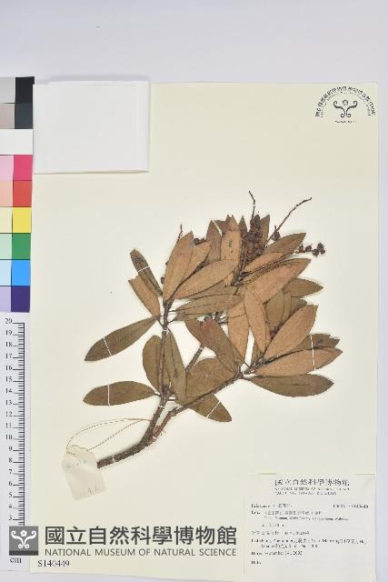 登錄號:S140449藏品圖，第1張