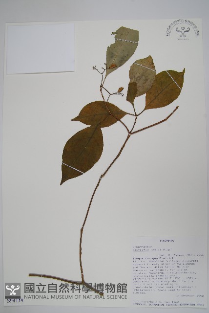 登錄號:S094149藏品圖，第1張